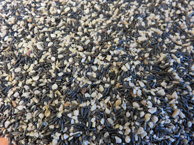 Safflower