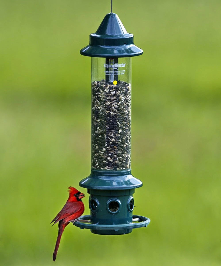 Bird Feeders