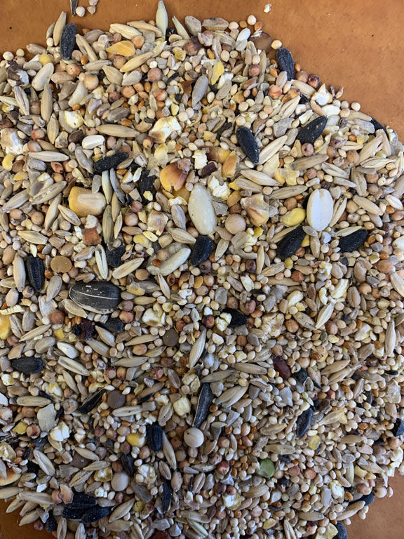Econo Wild Bird Mix
